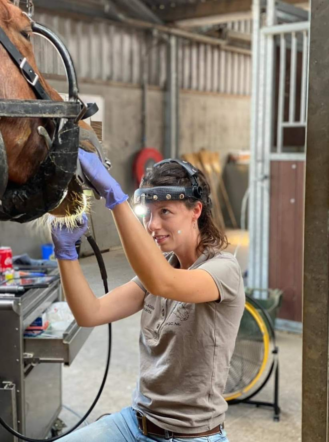 Marjo Lebbe as an equine veterinarian examining a horse
